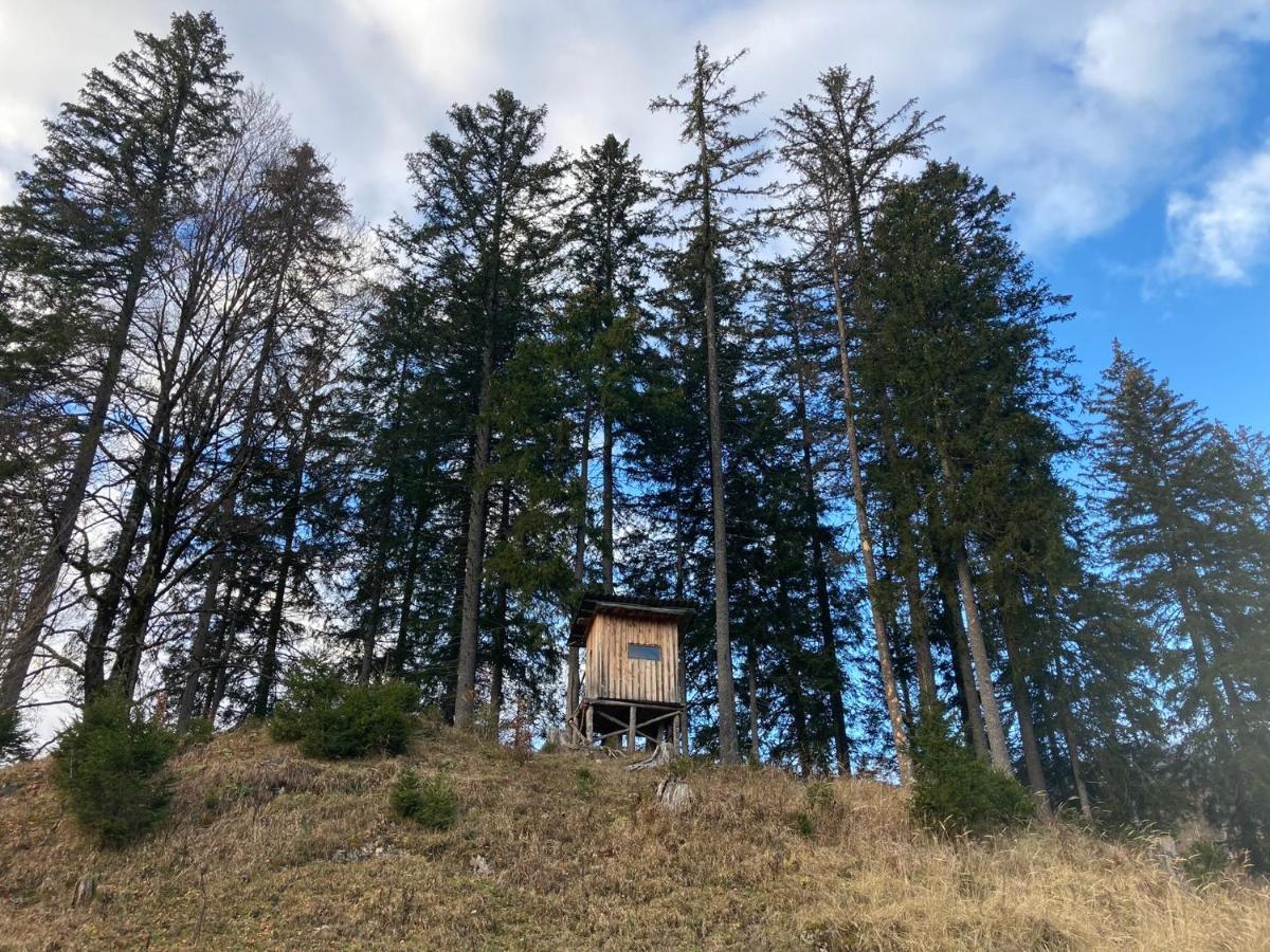 Chalet Wildalpen Bagian luar foto