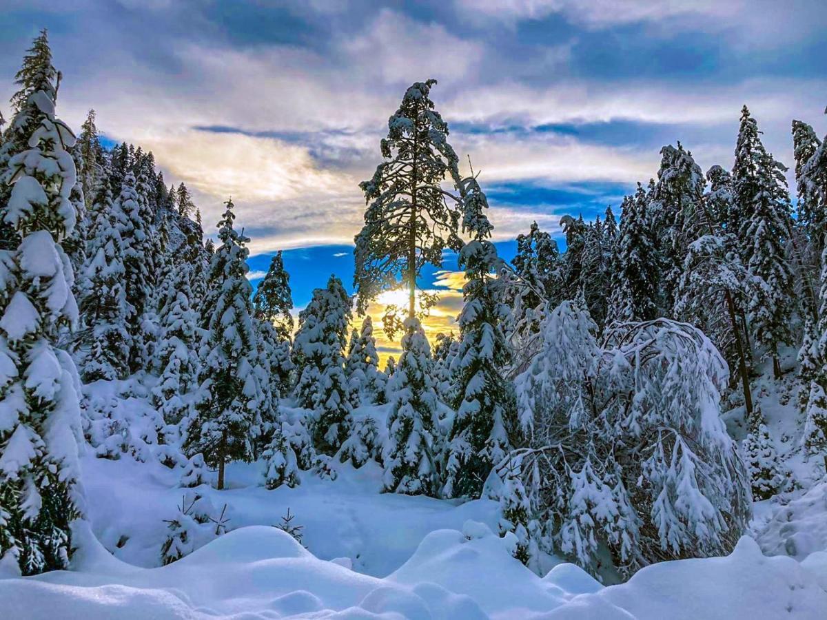 Chalet Wildalpen Bagian luar foto