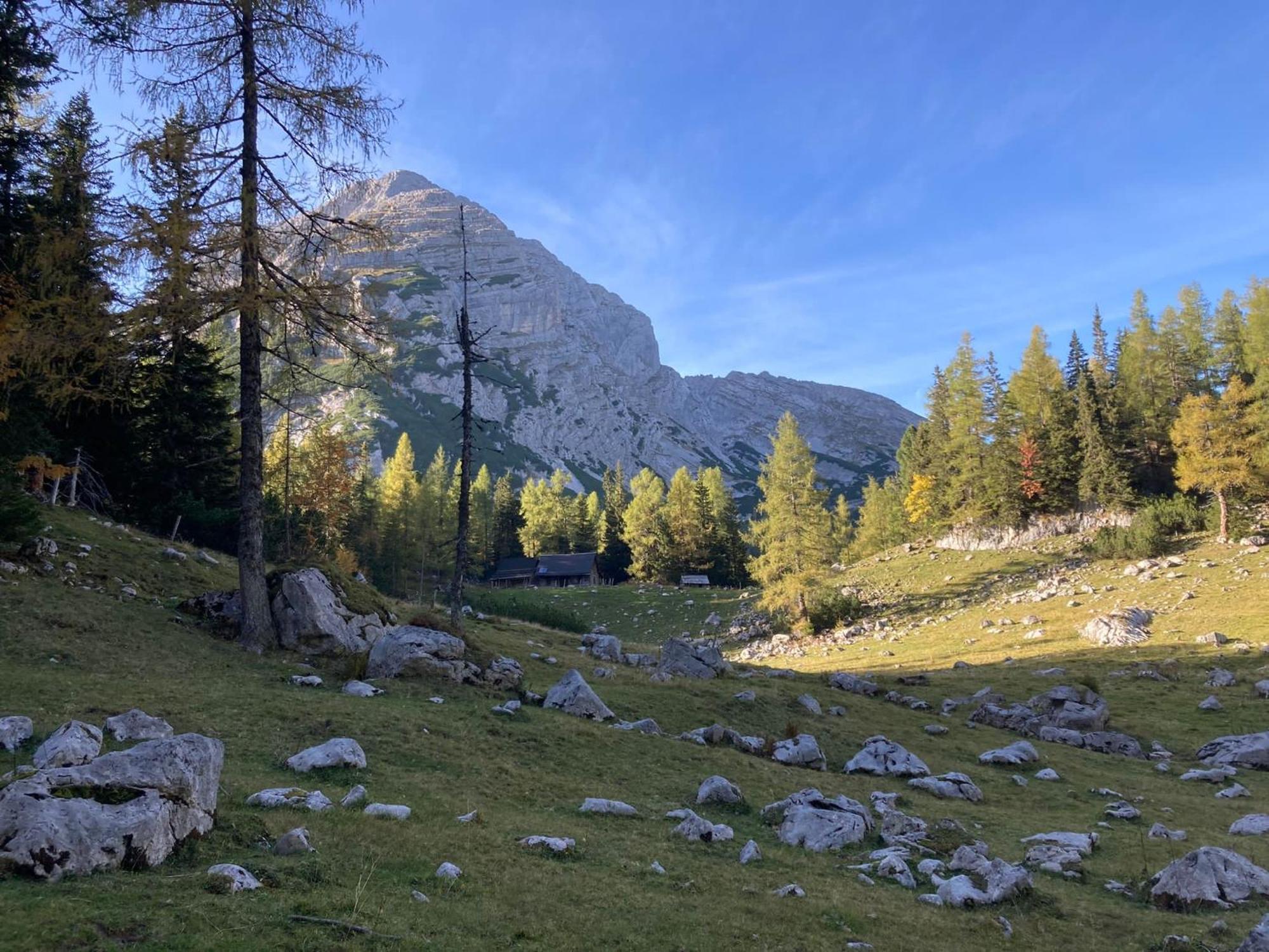 Chalet Wildalpen Bagian luar foto