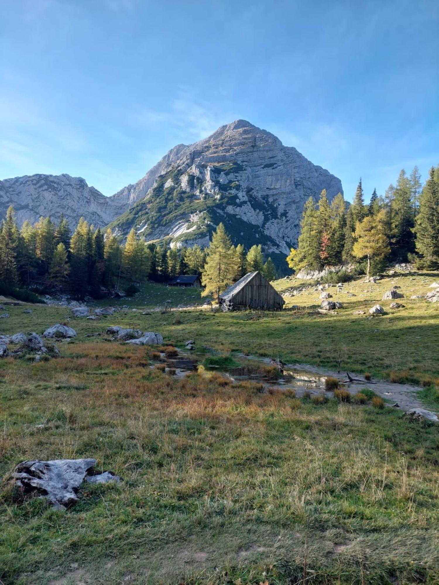 Chalet Wildalpen Bagian luar foto
