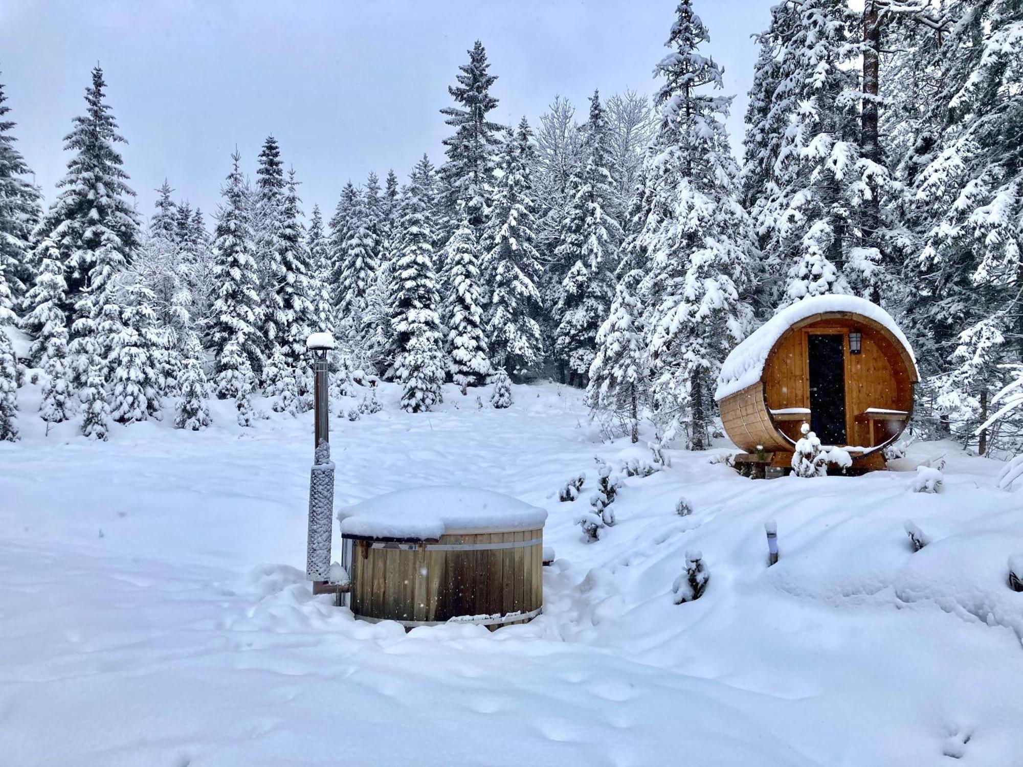 Chalet Wildalpen Bagian luar foto