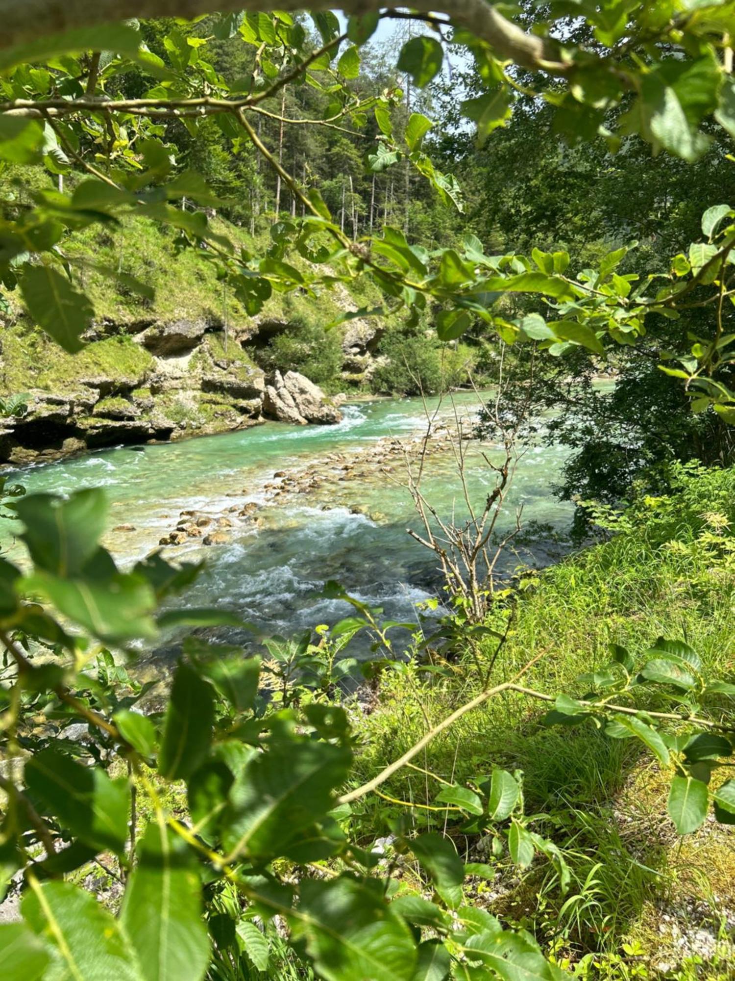 Chalet Wildalpen Bagian luar foto